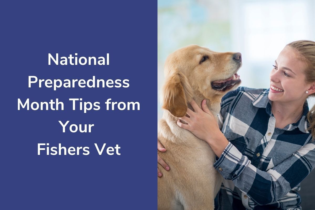 National-Preparedness-Month-Tips-from-Your-Fishers-Vet