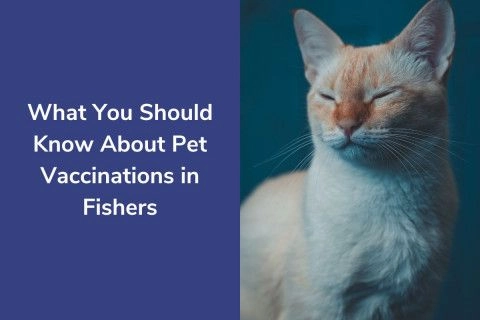 What-You-Should-Know-About-Pet-Vaccinations-in-Fishers