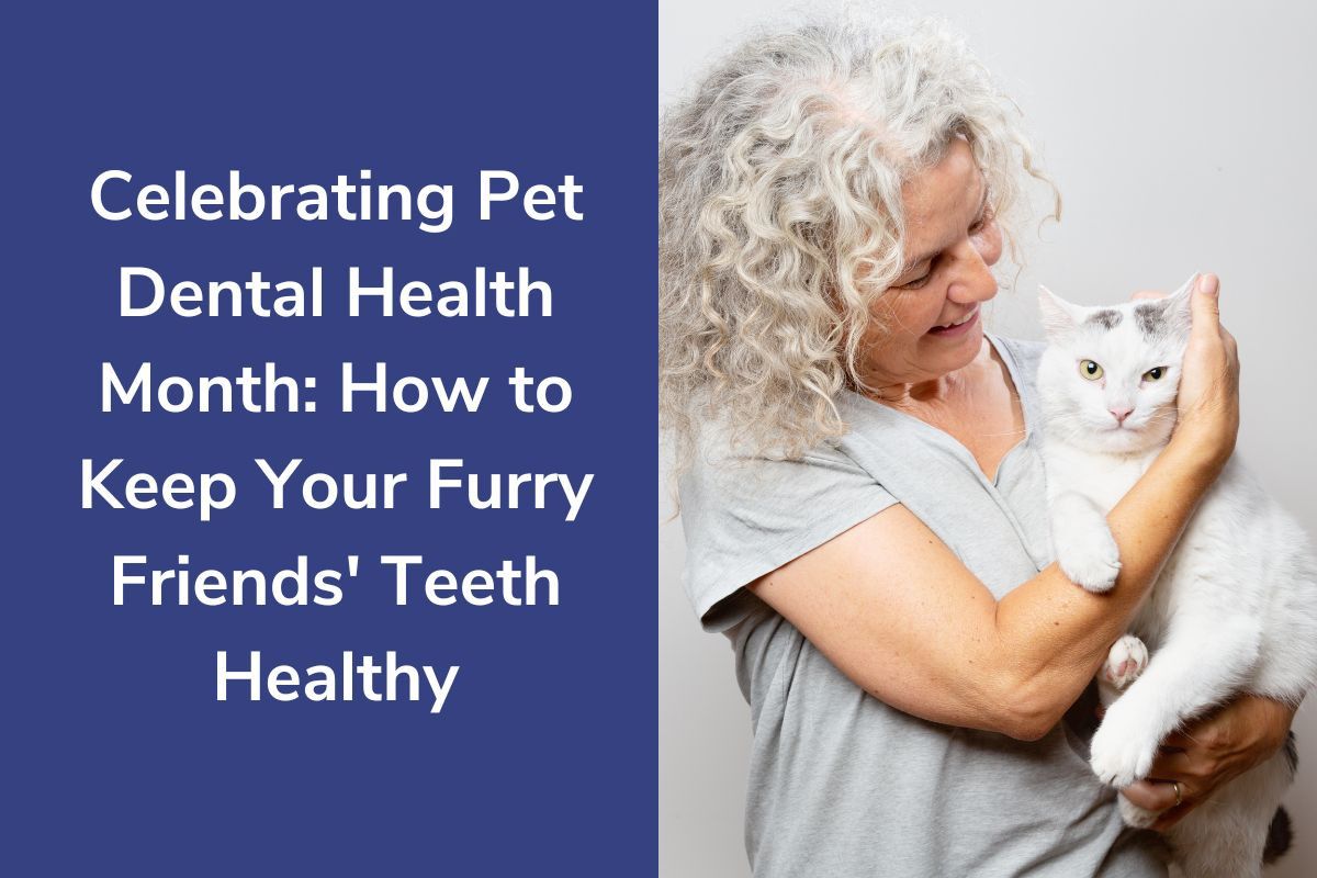 Celebrating Pet Dental Health Month: How to Keep Your Furry Friends' Teeth Healthy