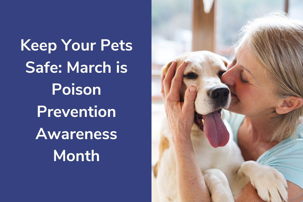 Keep Your Pets Safe: March is Poison Prevention Awareness Month