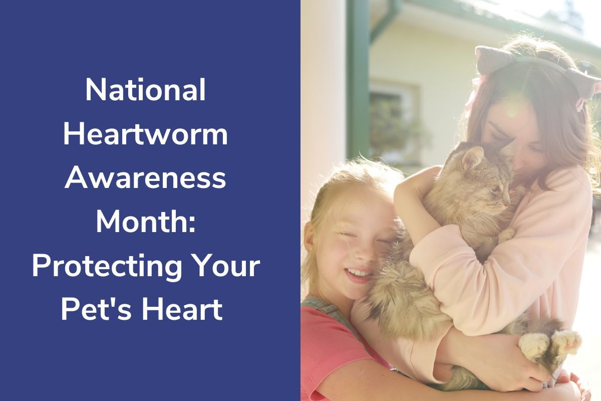 National-Heartworm-Awareness-Month-Protecting-Your-Pets-Heart--5