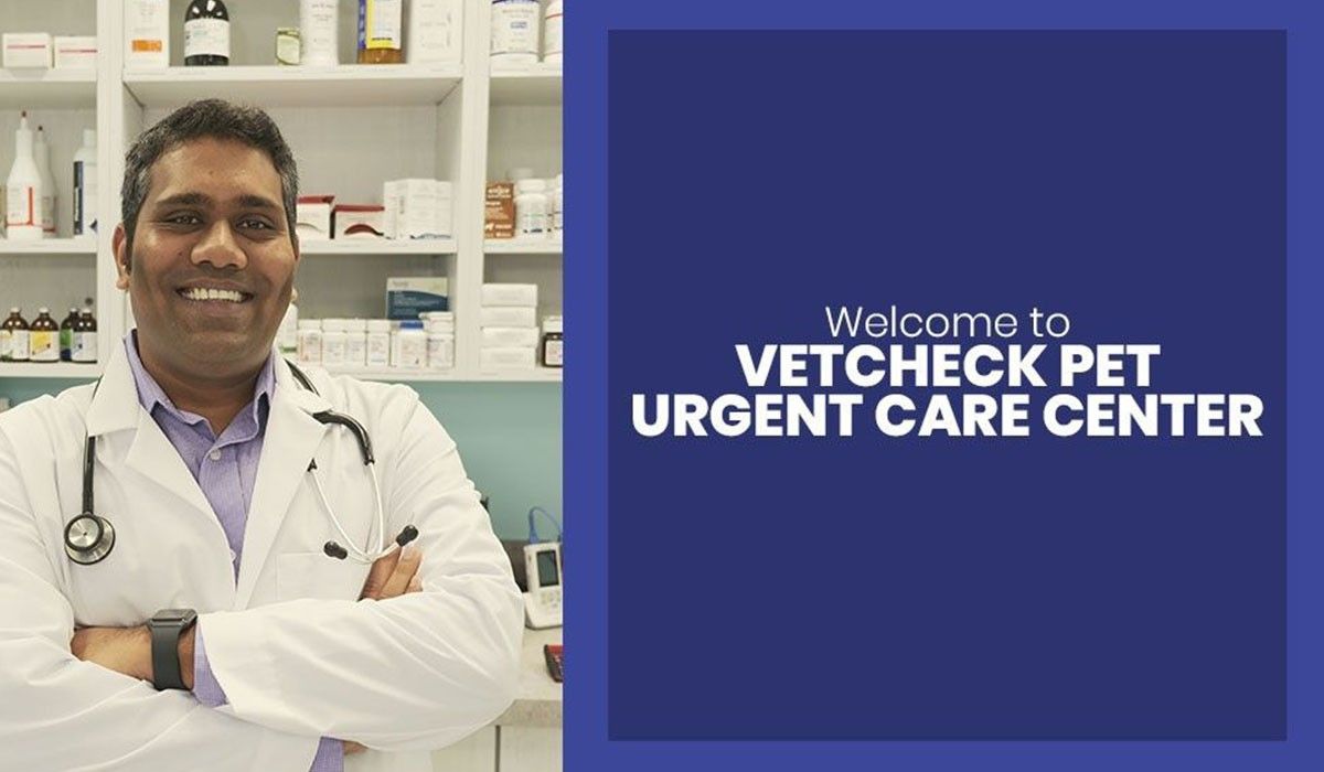 welcome-to-vetcheck-pet-blog