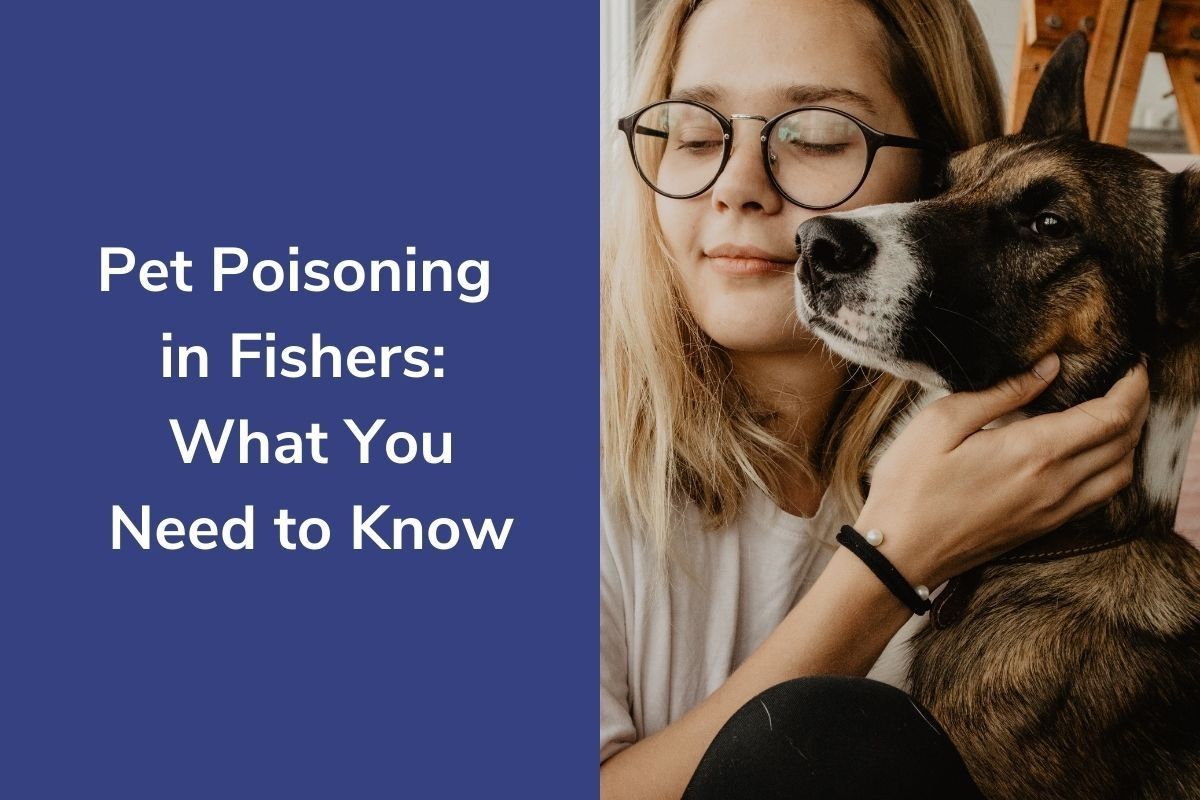 Pet-Poisoning-in-Fishers_-What-You-Need-to-Know